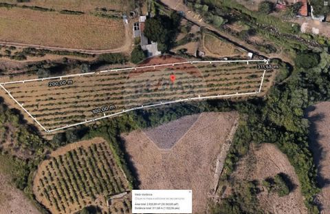 Description # Ideal for your agricultural project next to the Roman Bridge in Cheleiros - Mafra # Rustic land with total area of 2800m², with well, lots of water and lots of light. Located in the center of Cheleiros in Mafra, very close to the Roman ...