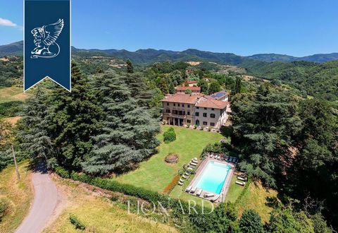 Dans la campagne toscane typique, non loin de la célèbre ville de Florence, cette villa historique de Vicchio avec piscine est à vendre dans un splendide parc de vingt hectares. La luxueuse propriété est complètement entourée par le jardin, savamment...