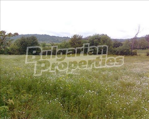 For more information call us at ... or 02 425 68 57 and quote the property reference number: ST 47004. Responsible broker: Gabriela Gecheva We offer to your attention a regulated plot of land with an area of 6,900 sq.m. with a detailed development pl...