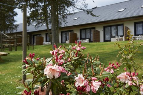 This tastefully renovated holiday park is situated in the town of Hosingen. The park lies at an altitude of ca. 500m, between the picturesque towns of Clervaux and Vianden (15 km.) The park borders a large nature reserve which has several wonderful h...