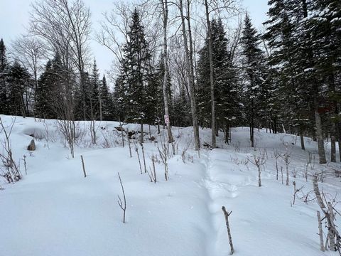 Beautiful lot #13 ready to build. Very good location near all services. You will be charmed by its peaceful environment! This place is perfect for outdoor lovers! Close to several navigable bodies of water! Only 45 minutes from Mont-Laurier and 1h50 ...