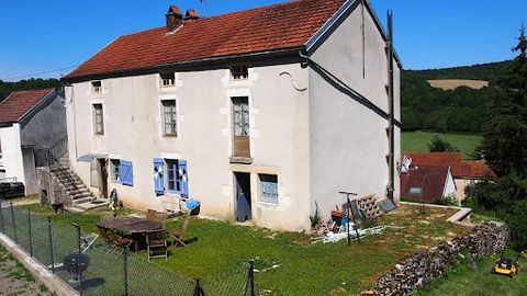12 mins north Is-sur-tille, stunning views, house 1900 to finish renovating, living room, open kitchen, 1 bedroom, shower room, 1st floor 3 large rooms, attic on the length convertible, garage, closed ground of 600m2. To visit and accompany you in yo...