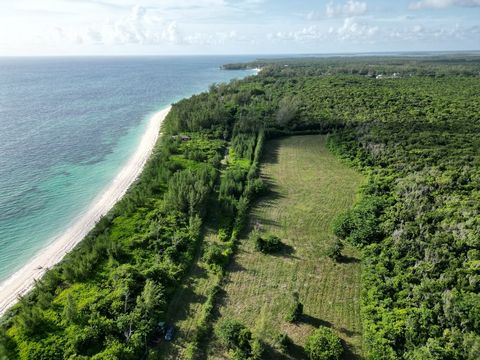 Eine Gemeinde mit Inselgeschmack im nördlichen Teil der Bahamas. Das berühmte Andros Island Beach Resort befindet sich in Nicholls Town und die Stadt ist das Zentrum für Tauchen und Schnorcheln in Nord-Andros. Der Einreisehafen für Nord-Andros erfolg...