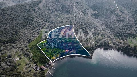 Nikolaos Tziafetas - Real Estate investment Consultant - member of the #NTteam real estate team (Theodoridis Nikolaos, Liakos Konstantinos) - Sepiada - Agioi Apostoli: A plot of land of 18,108 sq.m. is available for sale. even and buildable by deviat...