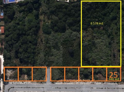Located in Tornada. Urban Lot called lot 25 and Rustic Land in Tornada; Inserted in an urbanization, this property consists of two articles. The Urban Article is a plot with 446sqm for construction with all infrastructures. You can present the archit...