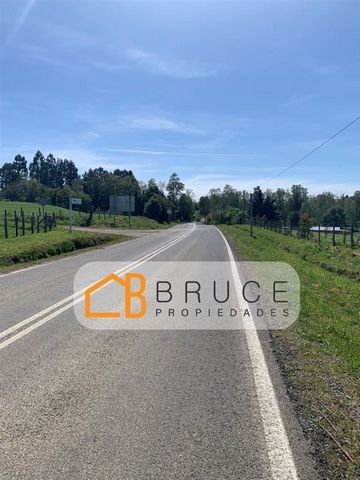 Plot for sale on the Osorno - Rio Negro inland road, 20 km from the city, paved road. 5,000 m2, roadside, rural drinking water and electricity.
