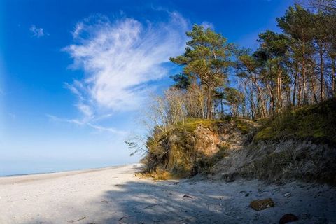 El complejo está situado en una zona tranquila, a 700 m de la pintoresca playa costera del Mar Báltico, en las inmediaciones de restaurantes y numerosos lugares de interés. La zona está a su vez alejada de las principales vías de comunicación, gracia...