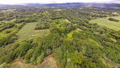 Découvrez une opportunité unique à San Mateo de Orotina ! Ce domaine de 64 hectares est à vendre et constitue un bijou pour les investisseurs à la recherche d’un projet durable et rentable. Le Costa Rica, engagé dans la préservation de l’environnemen...
