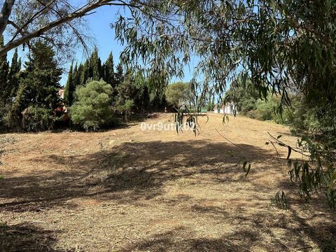This fantastic plot of 1,519 SQM is located in the sought after area of the B Zone in Sotogrande Costa. Close to all amenities and walking distance to the commercial area of Galerias Panigua with restaurants, shops and a variety of businesses. A very...