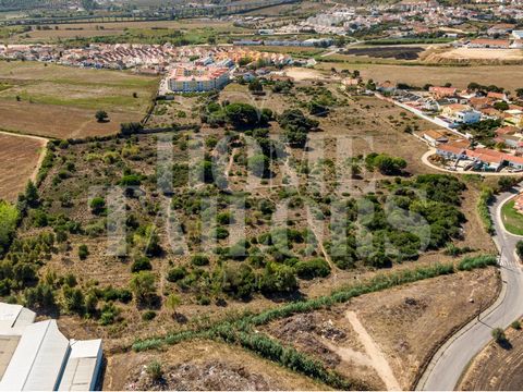 With a total area of 70 200 m2 consisting of a 570m2 ABP villa and storage rooms. According to the consultation with the PDM, the land is part of urban land - urbanizable spaces with about 20 100m2. INDUSTRIAL SPACES with scheduled occupation of 7,90...