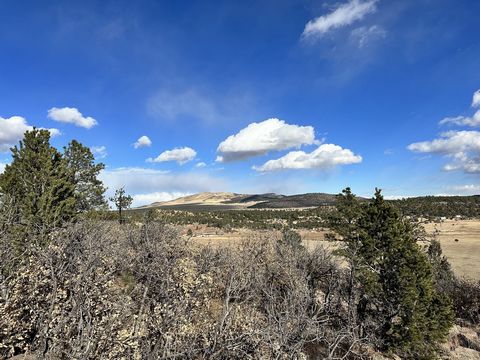Ojo Feliz Ranch presents a great price and value for a buyer looking to get a little bit of everything; mountains, pastures, and water on +/-165 acres in NM GMU 46. It would be great for building a home or cabin and comes with a well already drilled....