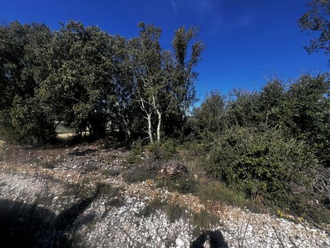photo no. 5