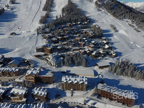 Superbe projet de rénovation à réaliser pour ce chalet qui pourra se composer d’un beau séjour avec cuisine ouverte, de 3 chambres doubles avec salles de bains, une chambre enfants avec salle de douche, un spa avec sauna, hammam et jacuzzi, un grand ...