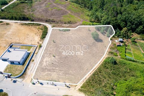 Identificação do imóvel: ZMPT568547 Come and see your new home... Building land , Mundão , Viseu , with 4,616 sqm of total area, with potential for family housing or service unit. According to the PDM, the construction of buildings ideally with 2 flo...