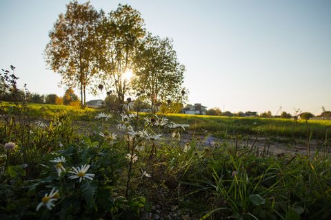 Участок №28 Участки Площадь от 11 до 30 соток. Собственник. Прямая продажа. Прописка! Уже есть названия улиц и № домов. 30 Минут от СПб и КАД. Инфраструктура: В расположенном неподалеку поселке Ропша есть прекрасная школа и новый детский сад с бассей...