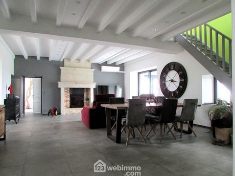 photo no. 6