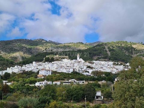 Unique Opportunity in Casarabonela! Discover this charming rural house in the picturesque town of Casarabonela, just one hour from the famous Ronda and 40 minutes from Malaga airport and the Costa del Sol. Located in the historic center, this propert...