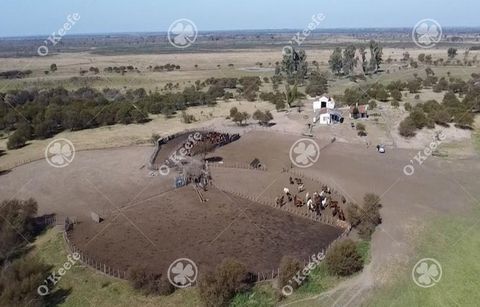 Localização:  Islas del Ibicuy Departamento, Localidade de Médanos , a cidade mais próxima do acesso ao campo é a cidade de Gualeguay. Entre a Rota Nacional 12 e a entrada da estância são 22 km de estrada de terra, passando por Puerto Tigre, com boa ...