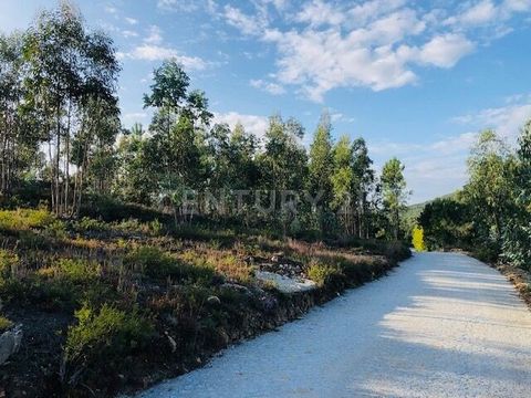 Fantastic land with 24,000m2, located in a quiet area where nature and its horizon are stunning. Lot consisting of 2 articles, one with a total area of 4183 m2 and the other with a total area of 19813 m2, which can be sold separately. According to th...