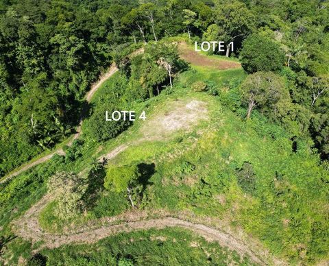 Situé dans le quartier de Buena Vista, à seulement 5 minutes en voiture de la plage de Samara, ce magnifique terrain surélevé offre une vue imprenable à 360 ° sur les magnifiques montagnes et la jungle. Idéal pour les personnes qui veulent profiter d...