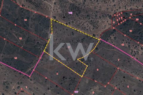 Set van rustiek land met 13288m2 in Martim Longo. Het eerste land heeft een totale oppervlakte van 10788m2 en is gelegen in Murtas. Het tweede perceel heeft een totale oppervlakte van 2240m2 en is gelegen in Volta da Casa Velha. Het derde perceel hee...