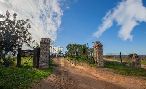 Het is een rustieke woning gelegen in de gemeente Castilblanco de los Arroyos (Sevilla). Met een oppervlakte van ongeveer 170 hectare. Mooie steeneiken weide met 4 putten voor water en elektriciteit. Het bestaat uit een kleine boerderij, waar meestal...