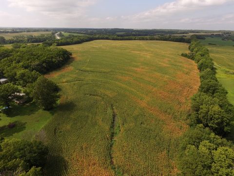 Rêvez-vous d’une grande superficie avec un potentiel de construction, de chasse, de revenu et d’accès routier pavé ? Cette ferme de 48,14 +/- acres sera celle que vous voudrez posséder ! Cette terre est actuellement plantée en maïs et présente des so...