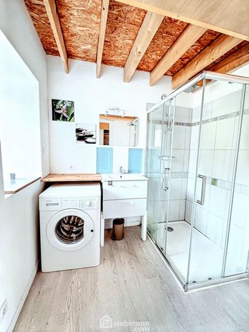 photo no. 11