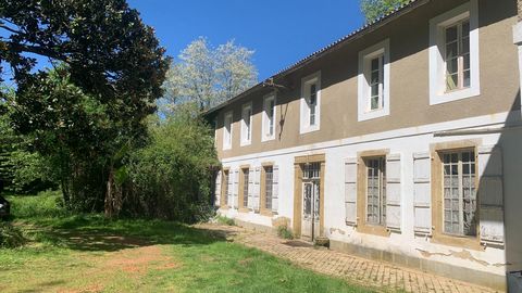 photo no. 2