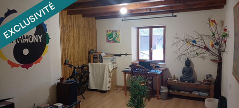 photo no. 11