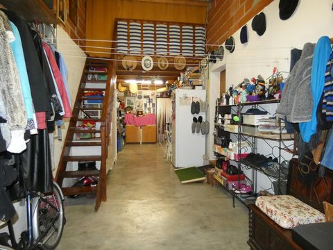 photo no. 12