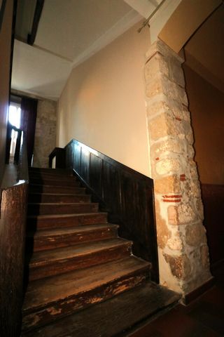 photo no. 12