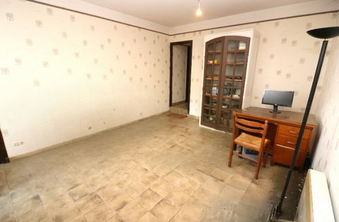 photo no. 15