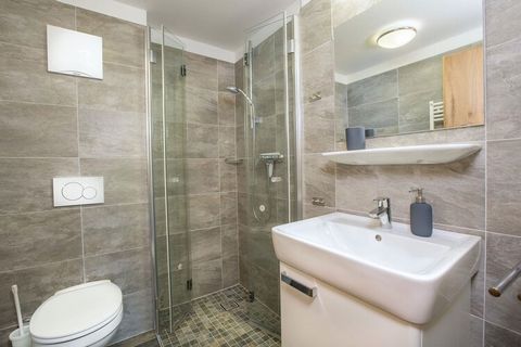 This nice apartment is located on the first floor of small-scale residence Residenz Wildkogelbahn, almost directly by the ski lift (gondola) with the same name. The building has a lift, so you do not have to climb any stairs. The living room has a TV...