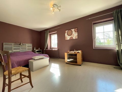 photo no. 11