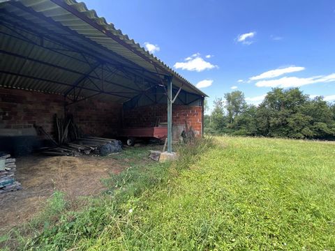 photo no. 11