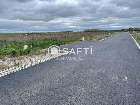 photo no. 1