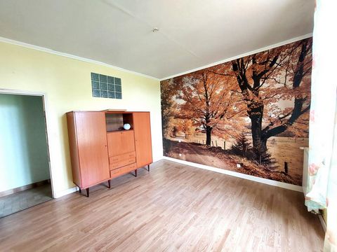 photo no. 6