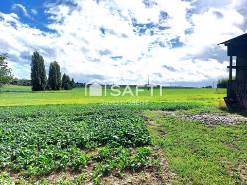 photo no. 10