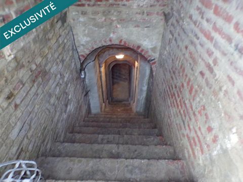 photo no. 7