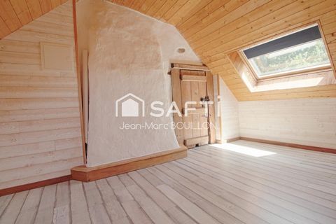 photo no. 5