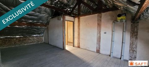photo no. 16