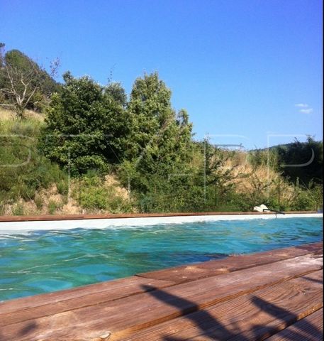 photo no. 12