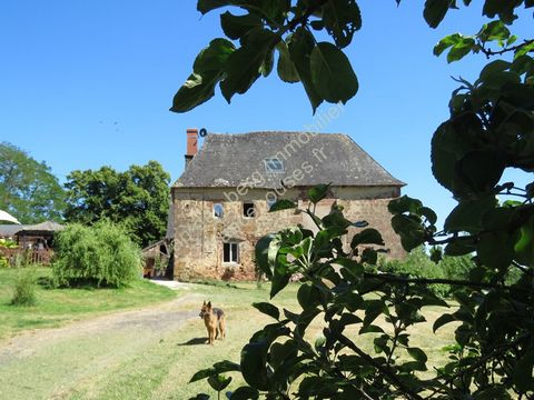 photo no. 28