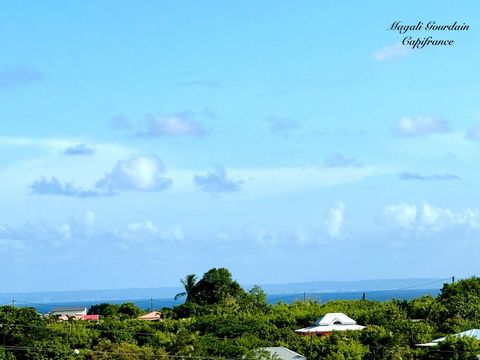 photo no. 2
