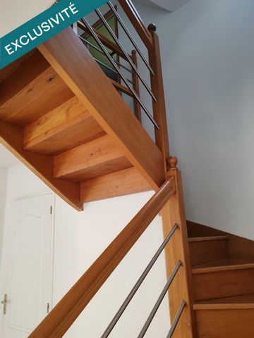 photo no. 11