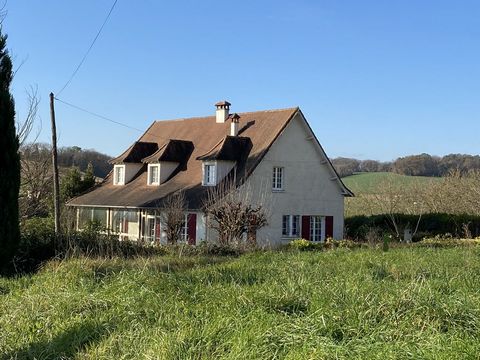photo no. 20