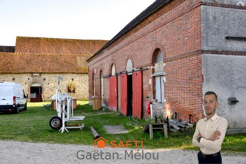 photo no. 10