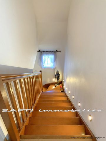 photo no. 8