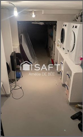photo no. 13